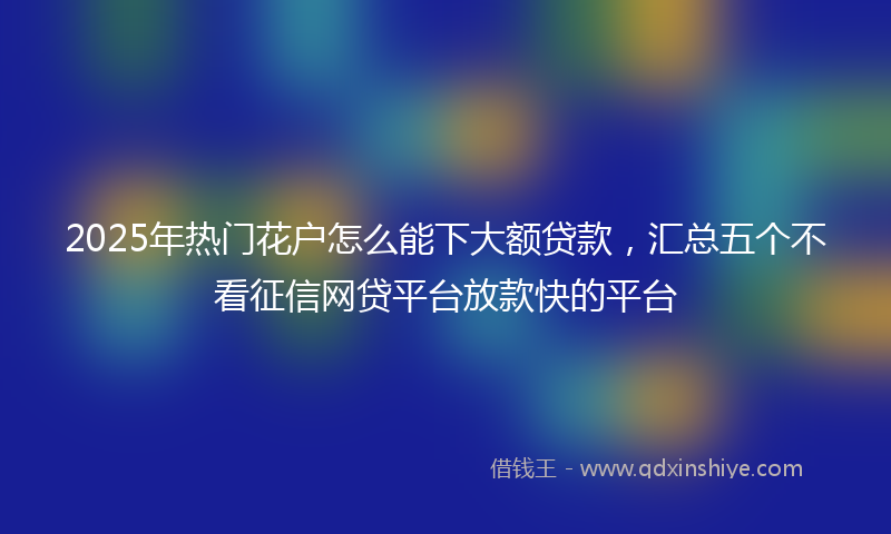 2025年热门花户怎么能下大额贷款，汇总五个不看征信网贷平台放款快的平台