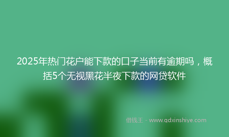 2025年热门花户能下款的口子当前有逾期吗，概括5个无视黑花半夜下款的网贷软件