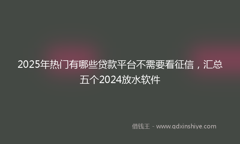 2025年热门有哪些贷款平台不需要看征信，汇总五个2024放水软件