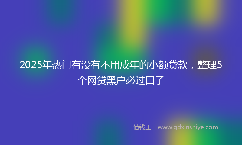 2025年热门有没有不用成年的小额贷款，整理5个网贷黑户必过口子