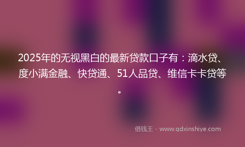 2025年的无视黑白的最新贷款口子有：滴水贷、度小满金融、快贷通、51人品贷、维信卡卡贷等。