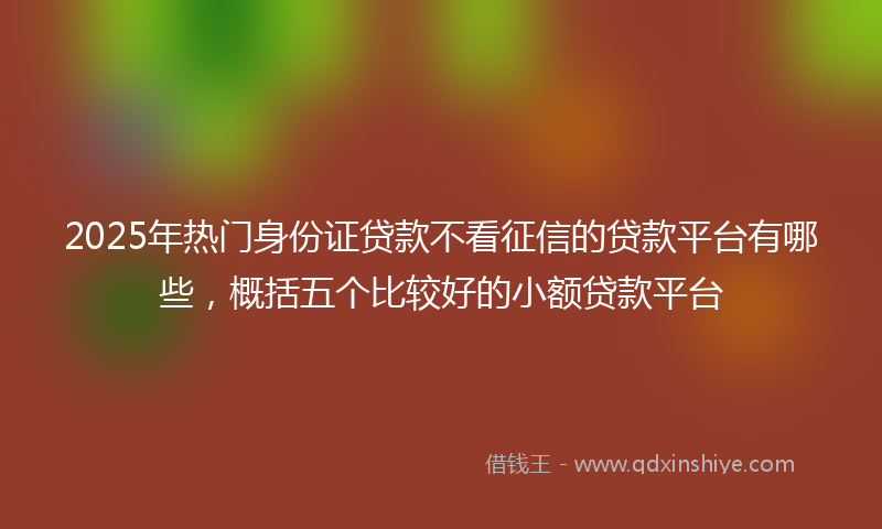 2025年热门身份证贷款不看征信的贷款平台有哪些，概括五个比较好的小额贷款平台