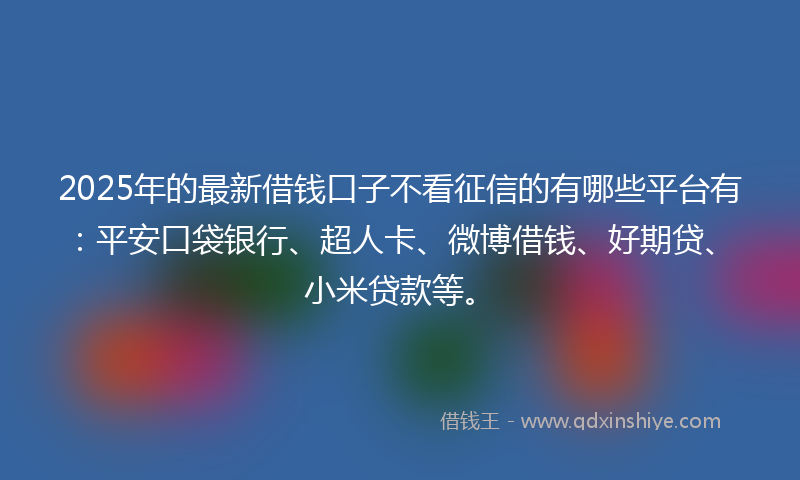 2025年的最新借钱口子不看征信的有哪些平台有：平安口袋银行、超人卡、微博借钱、好期贷、小米贷款等。