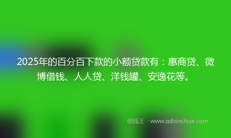 2025年的百分百下款的小额贷款有：惠商贷、微博借钱、人人贷、洋钱罐、安逸花等。