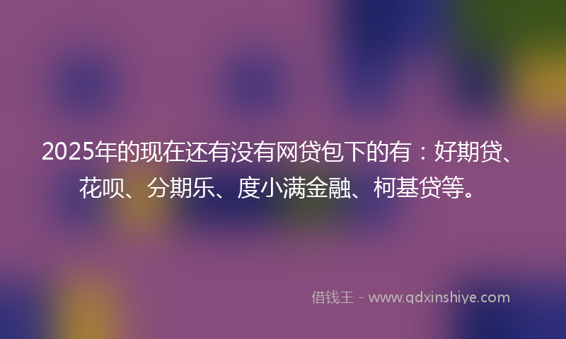 2025年的现在还有没有网贷包下的有：好期贷、花呗、分期乐、度小满金融、柯基贷等。