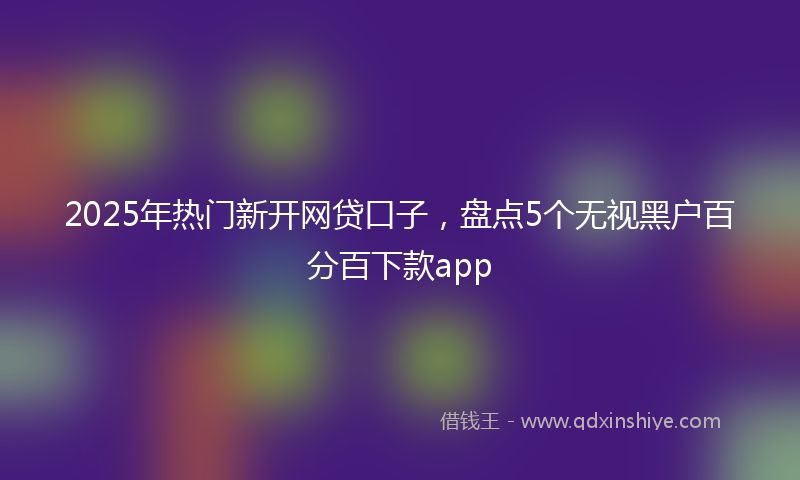 2025年热门新开网贷口子，盘点5个无视黑户百分百下款app