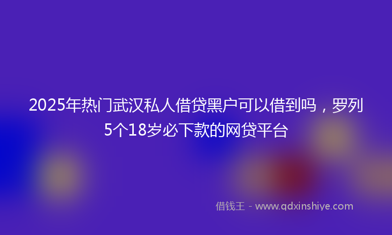 2025年热门武汉私人借贷黑户可以借到吗，罗列5个18岁必下款的网贷平台