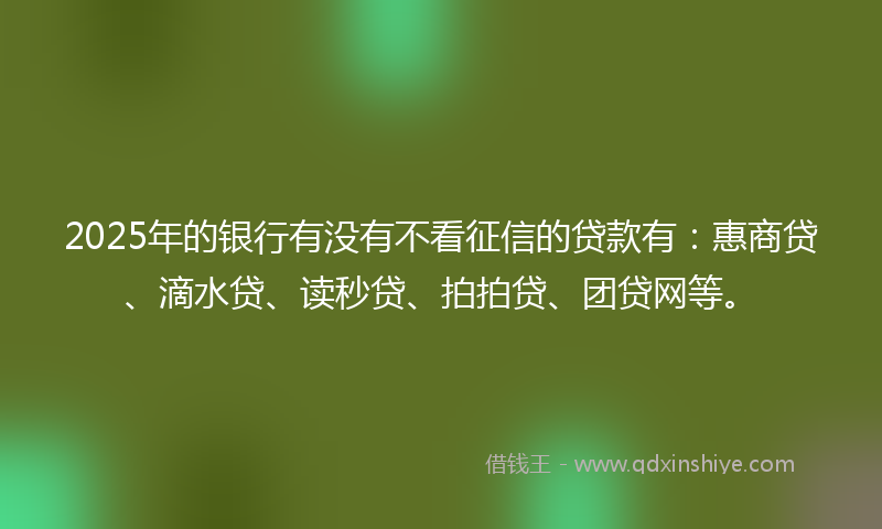 2025年的银行有没有不看征信的贷款有：惠商贷、滴水贷、读秒贷、拍拍贷、团贷网等。