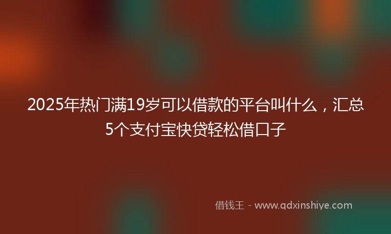 2025年热门满19岁可以借款的平台叫什么，汇总5个支付宝快贷轻松借口子