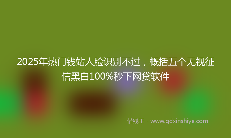 2025年热门钱站人脸识别不过，概括五个无视征信黑白100%秒下网贷软件