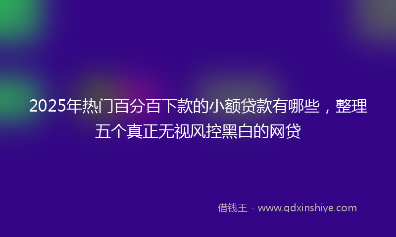 2025年热门百分百下款的小额贷款有哪些，整理五个真正无视风控黑白的网贷