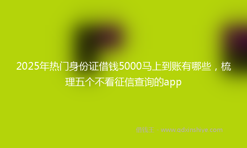 2025年热门身份证借钱5000马上到账有哪些，梳理五个不看征信查询的app