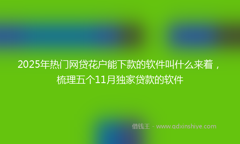 2025年热门网贷花户能下款的软件叫什么来着，梳理五个11月独家贷款的软件