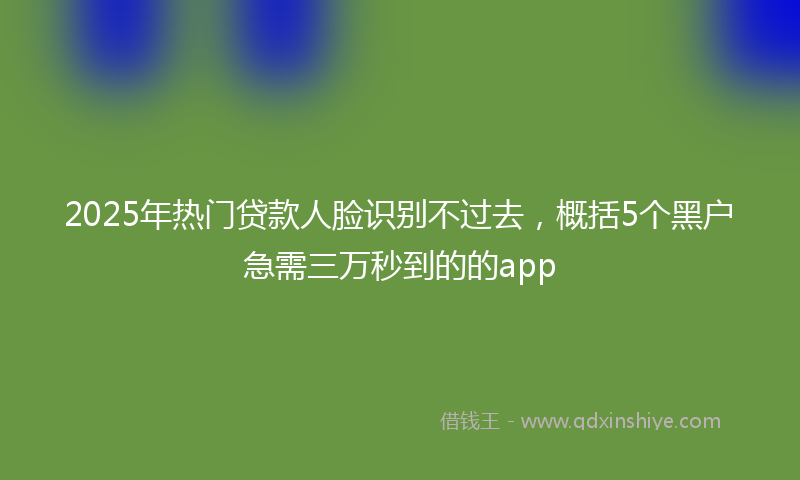 2025年热门贷款人脸识别不过去，概括5个黑户急需三万秒到的的app