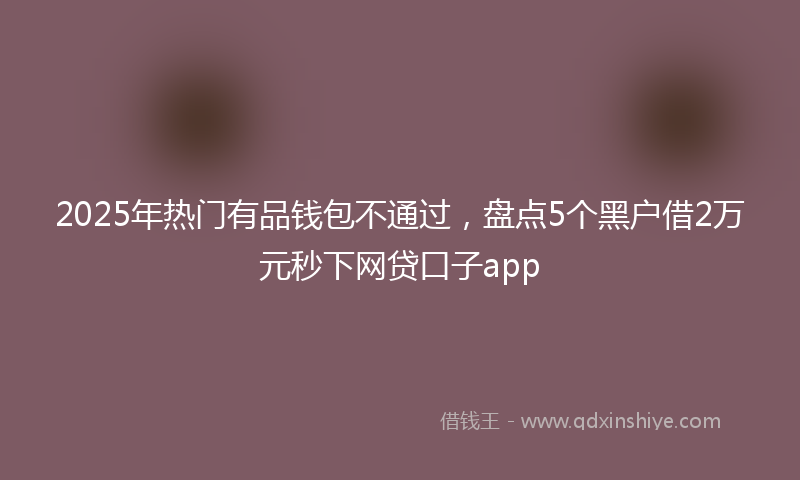 2025年热门有品钱包不通过，盘点5个黑户借2万元秒下网贷口子app