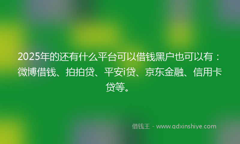 2025年的还有什么平台可以借钱黑户也可以有：微博借钱、拍拍贷、平安i贷、京东金融、信用卡贷等。
