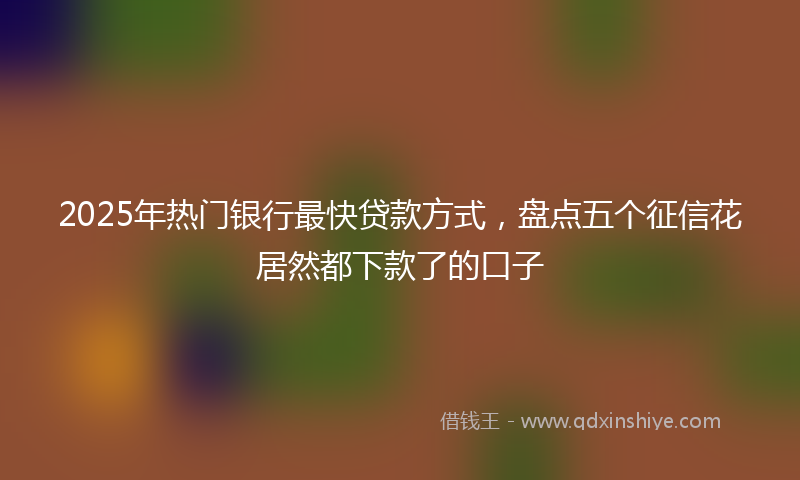 2025年热门银行最快贷款方式，盘点五个征信花居然都下款了的口子
