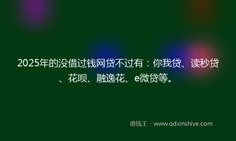 2025年的没借过钱网贷不过有：你我贷、读秒贷、花呗、融逸花、e微贷等。