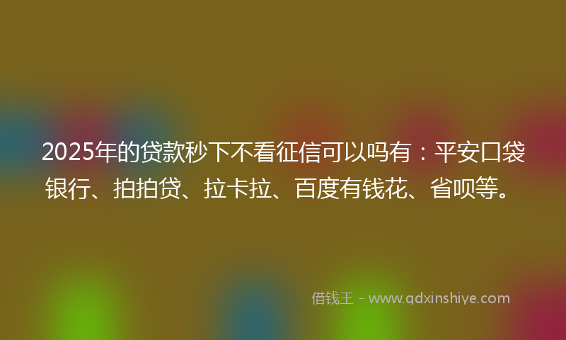 2025年的贷款秒下不看征信可以吗有：平安口袋银行、拍拍贷、拉卡拉、百度有钱花、省呗等。
