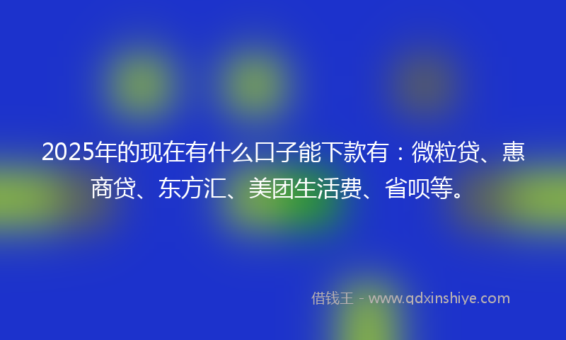 2025年的现在有什么口子能下款有：微粒贷、惠商贷、东方汇、美团生活费、省呗等。