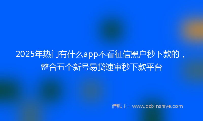2025年热门有什么app不看征信黑户秒下款的，整合五个新号易贷速审秒下款平台