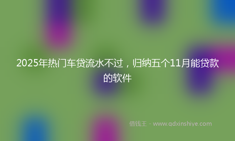 2025年热门车贷流水不过，归纳五个11月能贷款的软件