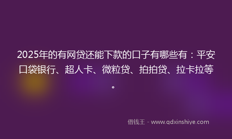 2025年的有网贷还能下款的口子有哪些有：平安口袋银行、超人卡、微粒贷、拍拍贷、拉卡拉等。