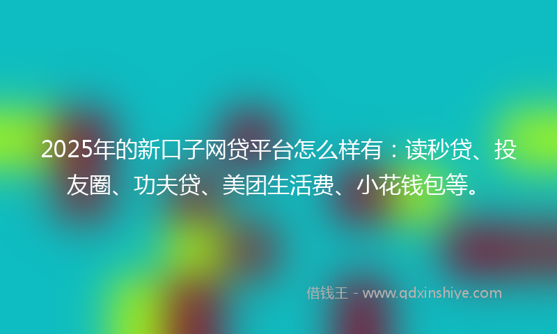 2025年的新口子网贷平台怎么样有：读秒贷、投友圈、功夫贷、美团生活费、小花钱包等。