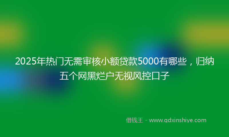 2025年热门无需审核小额贷款5000有哪些，归纳五个网黑烂户无视风控口子