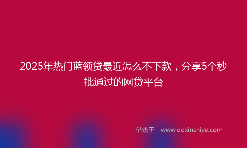 2025年热门蓝领贷最近怎么不下款，分享5个秒批通过的网贷平台