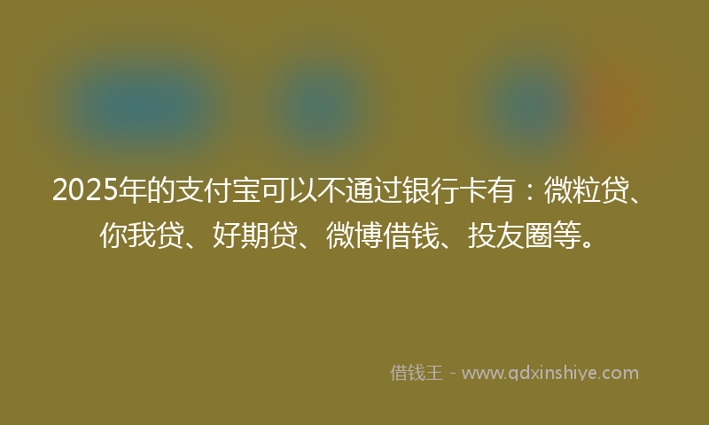 2025年的支付宝可以不通过银行卡有：微粒贷、你我贷、好期贷、微博借钱、投友圈等。