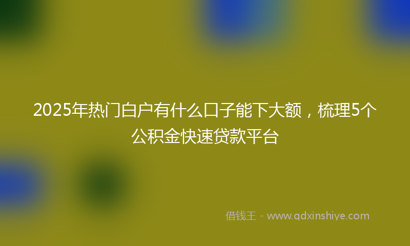 2025年热门白户有什么口子能下大额，梳理5个公积金快速贷款平台