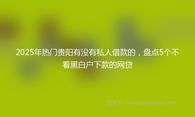 2025年热门贵阳有没有私人借款的，盘点5个不看黑白户下款的网贷