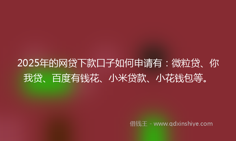 2025年的网贷下款口子如何申请有：微粒贷、你我贷、百度有钱花、小米贷款、小花钱包等。