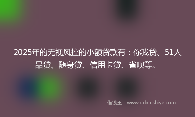 2025年的无视风控的小额贷款有：你我贷、51人品贷、随身贷、信用卡贷、省呗等。