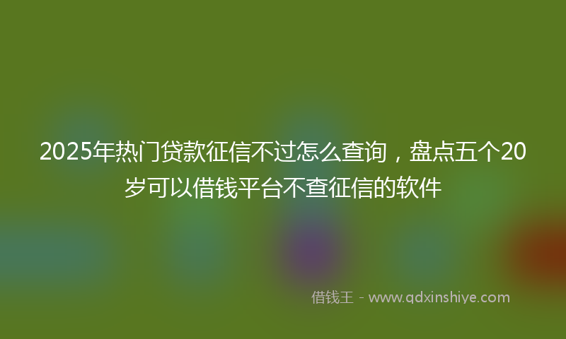 2025年热门贷款征信不过怎么查询，盘点五个20岁可以借钱平台不查征信的软件