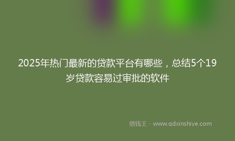 2025年热门最新的贷款平台有哪些，总结5个19岁贷款容易过审批的软件
