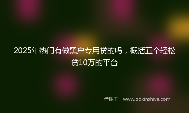 2025年热门有做黑户专用贷的吗，概括五个轻松贷10万的平台