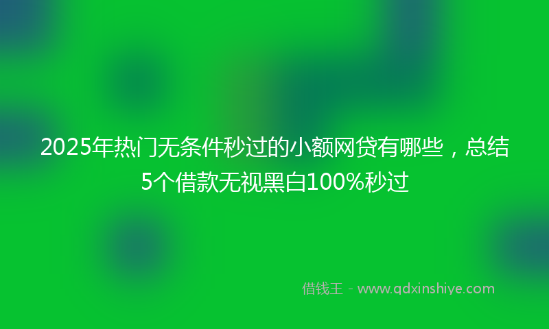 2025年热门无条件秒过的小额网贷有哪些，总结5个借款无视黑白100%秒过