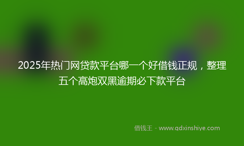 2025年热门网贷款平台哪一个好借钱正规，整理五个高炮双黑逾期必下款平台
