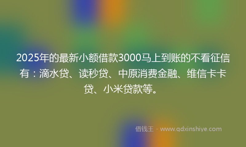 2025年的最新小额借款3000马上到账的不看征信有：滴水贷、读秒贷、中原消费金融、维信卡卡贷、小米贷款等。