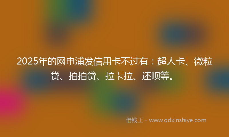 2025年的网申浦发信用卡不过有：超人卡、微粒贷、拍拍贷、拉卡拉、还呗等。
