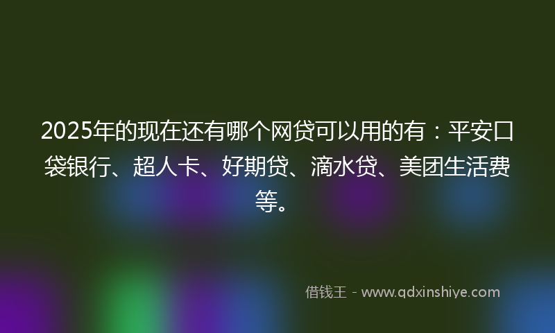 2025年的现在还有哪个网贷可以用的有：平安口袋银行、超人卡、好期贷、滴水贷、美团生活费等。