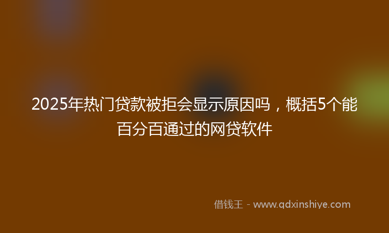 2025年热门贷款被拒会显示原因吗，概括5个能百分百通过的网贷软件