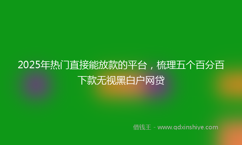 2025年热门直接能放款的平台，梳理五个百分百下款无视黑白户网贷