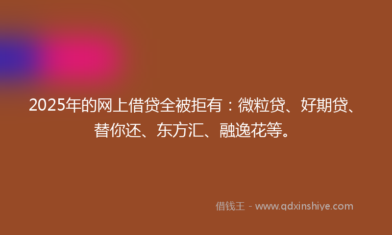 2025年的网上借贷全被拒有：微粒贷、好期贷、替你还、东方汇、融逸花等。