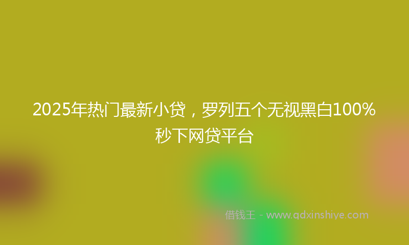 2025年热门最新小贷，罗列五个无视黑白100%秒下网贷平台