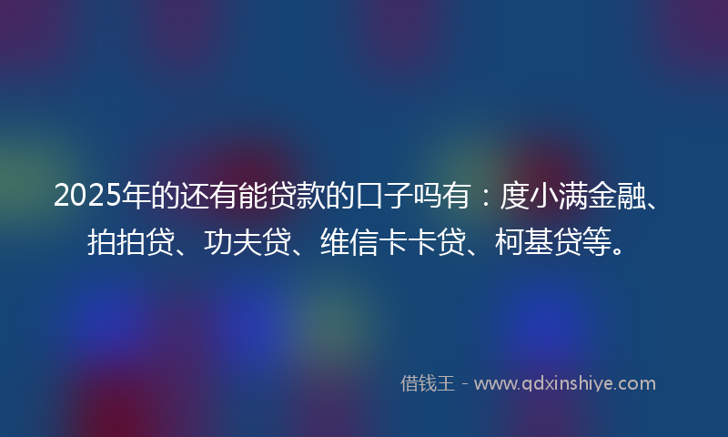 2025年的还有能贷款的口子吗有：度小满金融、拍拍贷、功夫贷、维信卡卡贷、柯基贷等。