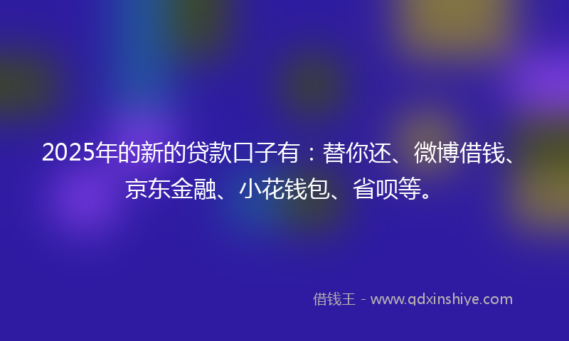2025年的新的贷款口子有：替你还、微博借钱、京东金融、小花钱包、省呗等。