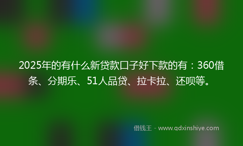 2025年的有什么新贷款口子好下款的有：360借条、分期乐、51人品贷、拉卡拉、还呗等。
